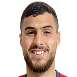 瓦伊迪-纳卜汉头像,瓦伊迪-纳卜汉图片