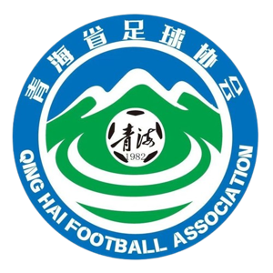 青海U18队标,青海U18图片