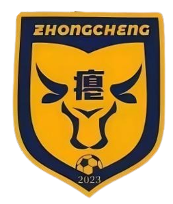 忠诚村足球队队标,忠诚村足球队图片