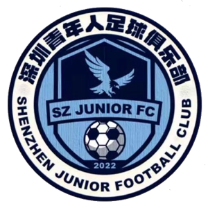 深圳青年人U15队标,深圳青年人U15图片