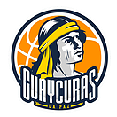 瓜卡拉斯队标,瓜卡拉斯图片