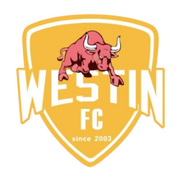 佛山女足队标,佛山女足图片